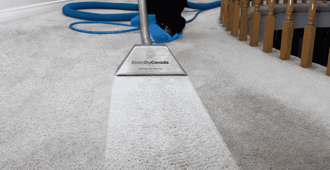 deep-cleaning-carpet-tips